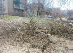 Куча из веток лежит на детской площадке в поселке ХБК в Шахтах Куча из веток лежит на детской площадке в поселке ХБК в Шахтах