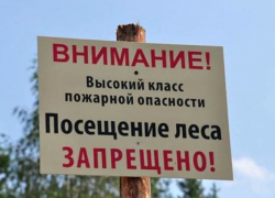 Пути в леса закрыты: руководство Минприроды ограничило пребывание людей в лесной зоне Пути в леса закрыты: руководство Минприроды ограничило пребывание людей в лесной зоне