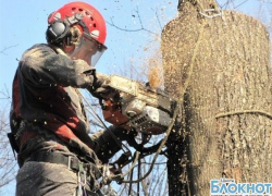 В Шахтах 19 декабря не будет электричества В Шахтах 19 декабря не будет электричества
