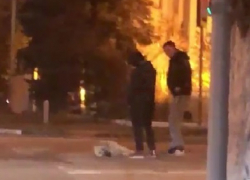 Странное поведение людей и собаки привлекло внимание шахтинцев Странное поведение людей и собаки привлекло внимание шахтинцев