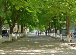 Кафе и рестораны в Александровском парке должны соответствовать его новым дизайнерским требованиям Кафе и рестораны в Александровском парке должны соответствовать его новым дизайнерским требованиям