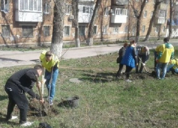 В День древонасаждений в Шахтах посадили деревья и привели в порядок улицы В День древонасаждений в Шахтах посадили деревья и привели в порядок улицы