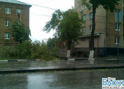 В Шахтах шквалистый ветер валит деревья и обрывает провода линии электропередачи В Шахтах шквалистый ветер валит деревья и обрывает провода линии электропередачи