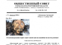 Шахтинцы подготовили открытое письмо губернатору против строительства в Александровском парке Шахтинцы подготовили открытое письмо губернатору против строительства в Александровском парке