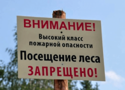 Рядовых дончан в леса пока не пускают Рядовых дончан в леса пока не пускают