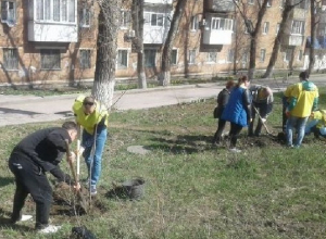 В День древонасаждений в Шахтах посадили деревья и привели в порядок улицы В День древонасаждений в Шахтах посадили деревья и привели в порядок улицы