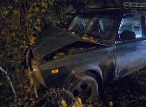 Пьяный водитель влетел в дерево и покалечил ребенка в Шахтах Пьяный водитель влетел в дерево и покалечил ребенка в Шахтах