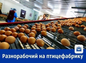 Требуется разнорабочий на вахту - птицефабрика, офис в Шахтах Требуется разнорабочий на вахту - птицефабрика, офис в Шахтах