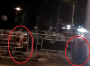 Под покровом ночи устанавливали ограды в центре Шахт Под покровом ночи устанавливали ограды в центре Шахт