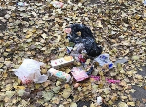 «Каким-то хамам лень до мусорки дойти!» - возмущена появлением новой свалки шахтинка «Каким-то хамам лень до мусорки дойти!» - возмущена появлением новой свалки шахтинка