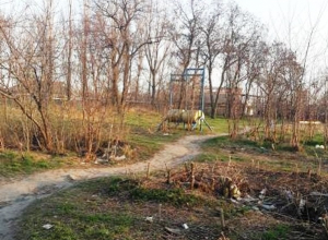 Мимо зарослей бурьяна и мусорных куч идут дети в школу в Шахтах Мимо зарослей бурьяна и мусорных куч идут дети в школу в Шахтах