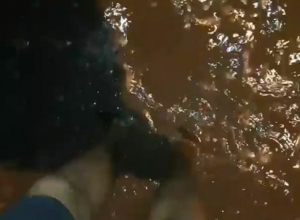 Голоногий шахтинец ходил зимой по лужам и предупредил водителей об опасной яме Голоногий шахтинец ходил зимой по лужам и предупредил водителей об опасной яме