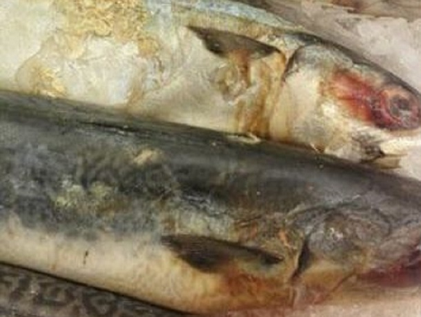 В сетевом магазине шахтинцам предложили «ржавую» рыбу В сетевом магазине шахтинцам предложили «ржавую» рыбу
