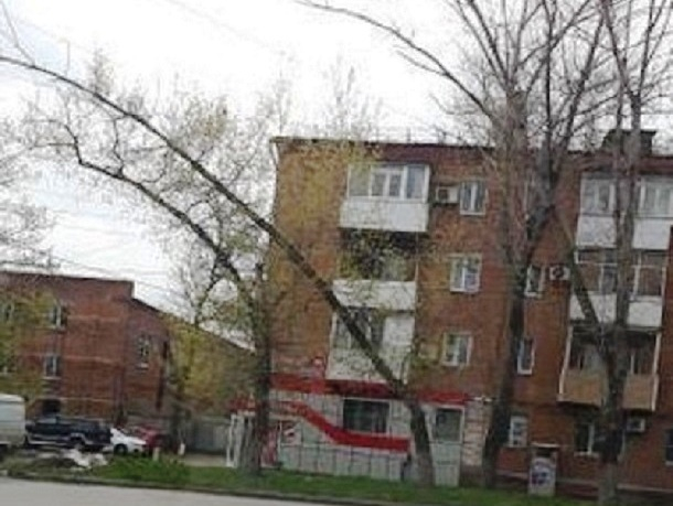 Многометровой аркой изогнулся над дорогой в Шахтах старый тополь Многометровой аркой изогнулся над дорогой в Шахтах старый тополь