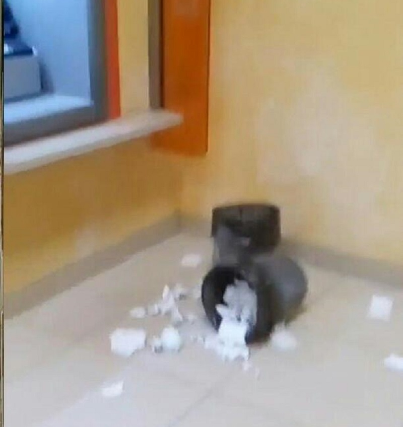 WhatsApp Image 2017-09-26 at 10.34.28.jpeg WhatsApp Image 2017-09-26 at 10.34.28.jpeg