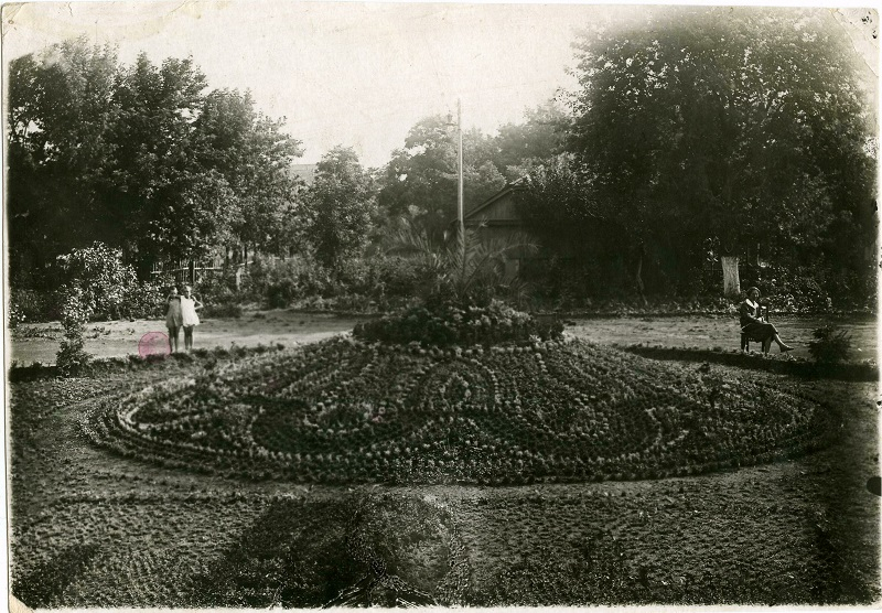 Цветник .1.jpg Цветник .1.jpg