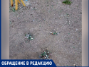 Мальчик поранил руку на детской площадке в поселке Аютинский в Шахтах
