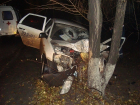 В Новошахтинске «Лада-Гранта» на огромной скорости врезалась в дерево - пассажир погиб