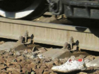 В Аксае поезд задавил 9-летнюю девочку