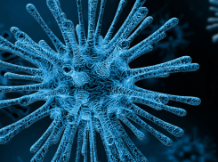 Антитела к омикрону от других штаммов коронавируса не защитят, заметили ученые-медики