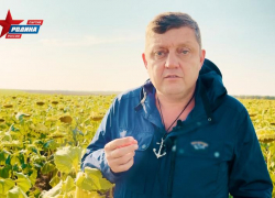 «Верните рынки сбыта!»: Олег Пахолков потребовал спасти сельское хозяйство запретом крупных торговых сетей